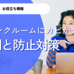 トランクルームにカビは発生する？カビ防止対策や原因について